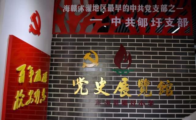 解惑问答,养了很久的猫,死后该如何处理?平台为您答疑解惑